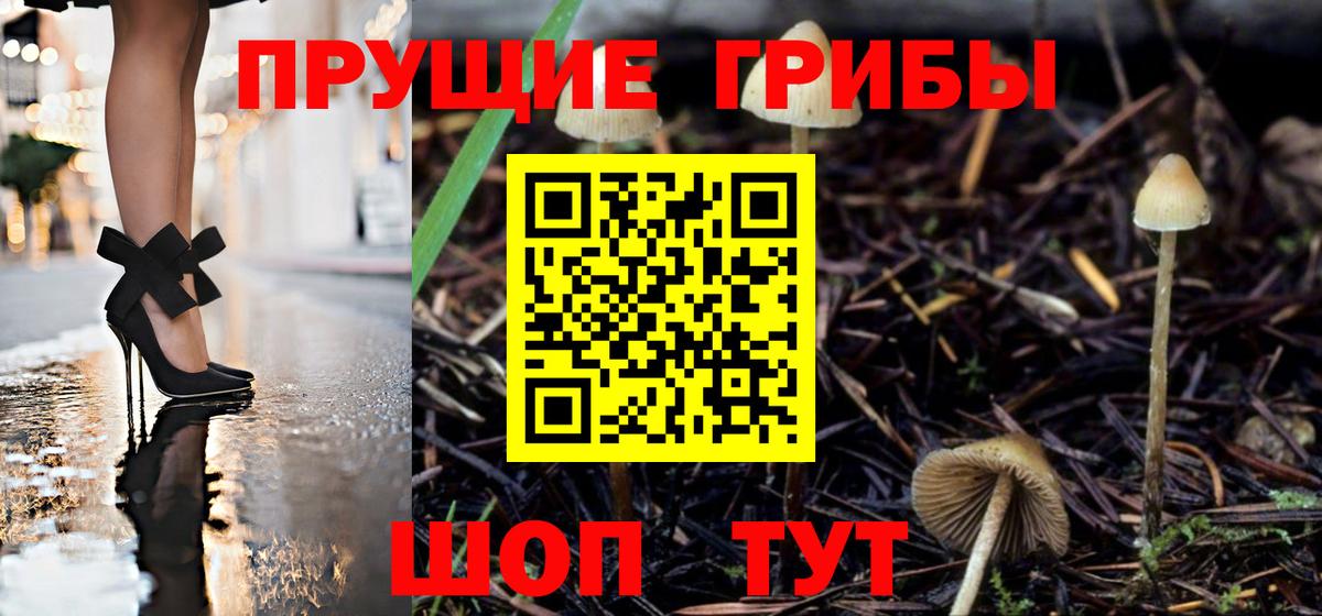 Абинск  Псилоцибиновые грибы Psilocybe  Вход с VPN 
